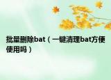 批量刪除bat（一鍵清理bat方便使用嗎）