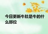 今日更新牛肚是牛的什么部位