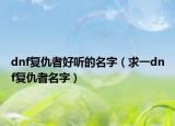 dnf復(fù)仇者好聽的名字（求一dnf復(fù)仇者名字）