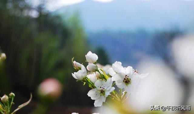 愛的最高境界——《班扎古魯白瑪?shù)某聊纺?、相愛，寂靜、歡喜