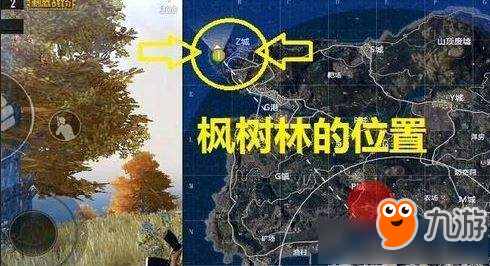 《絕地求生刺激戰(zhàn)場》尋找絕地海島地圖中的野餐聚點任務(wù)攻略