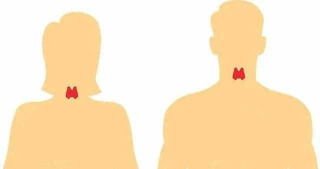 甲狀腺上長了結(jié)節(jié)，到底會怎樣？！說清楚了