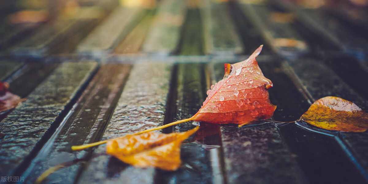 一場秋雨一場涼，秋雨綿綿秋意長