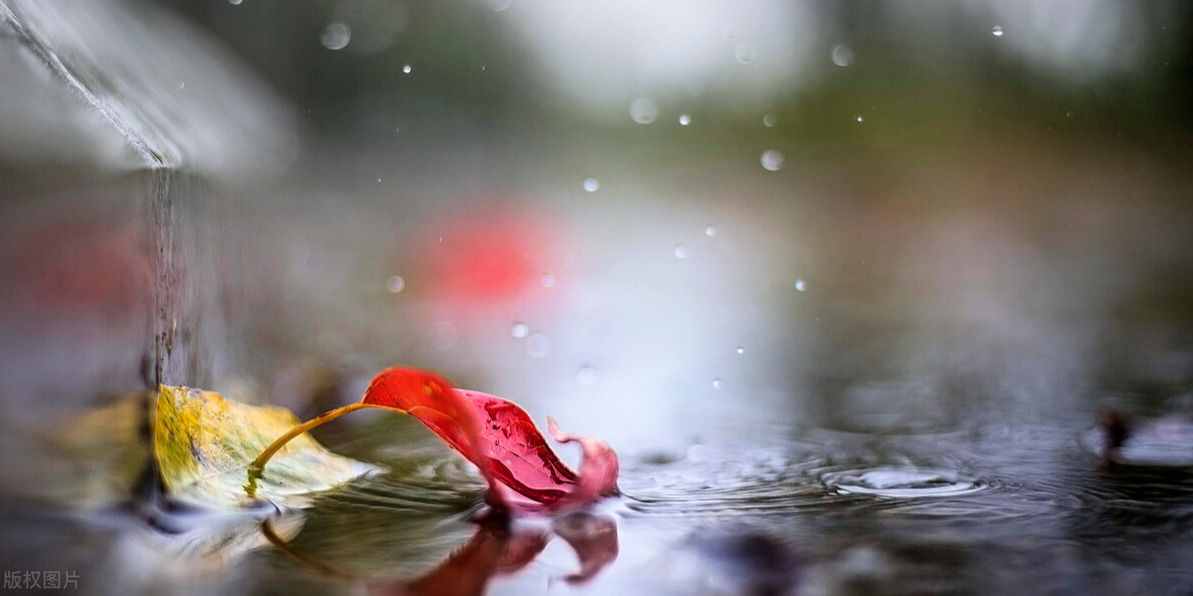 一場秋雨一場涼，秋雨綿綿秋意長