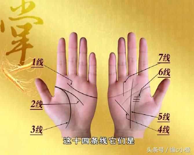看手相不求人，解析手相秘訣看了你也能掌握身體事業(yè)命運(yùn)和愛(ài)情