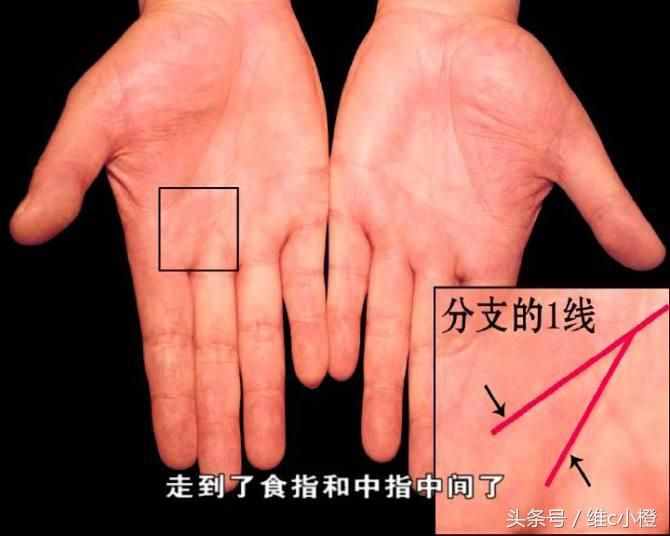 看手相不求人，解析手相秘訣看了你也能掌握身體事業(yè)命運(yùn)和愛(ài)情