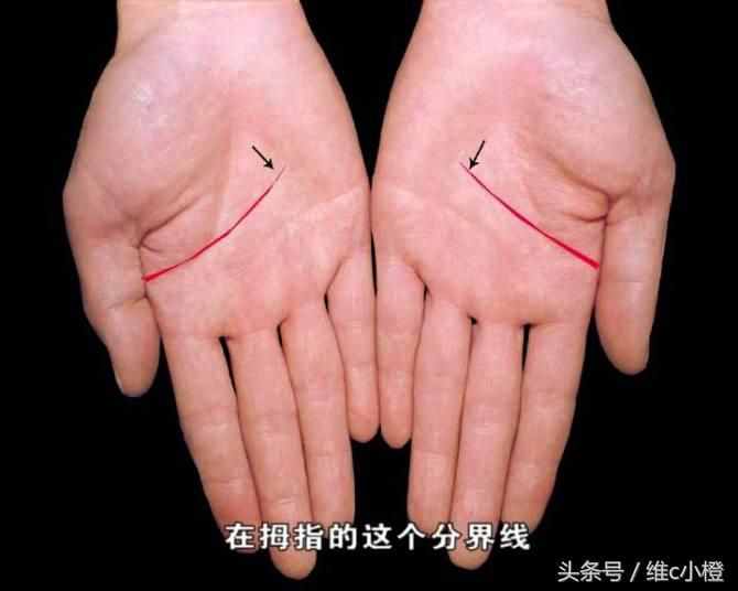 看手相不求人，解析手相秘訣看了你也能掌握身體事業(yè)命運(yùn)和愛(ài)情