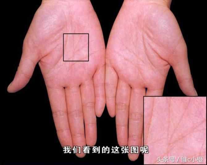 看手相不求人，解析手相秘訣看了你也能掌握身體事業(yè)命運(yùn)和愛(ài)情