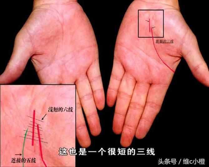 看手相不求人，解析手相秘訣看了你也能掌握身體事業(yè)命運(yùn)和愛(ài)情