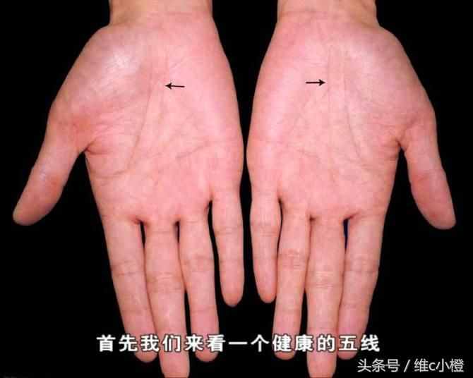 看手相不求人，解析手相秘訣看了你也能掌握身體事業(yè)命運(yùn)和愛(ài)情