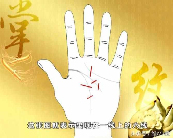看手相不求人，解析手相秘訣看了你也能掌握身體事業(yè)命運(yùn)和愛(ài)情