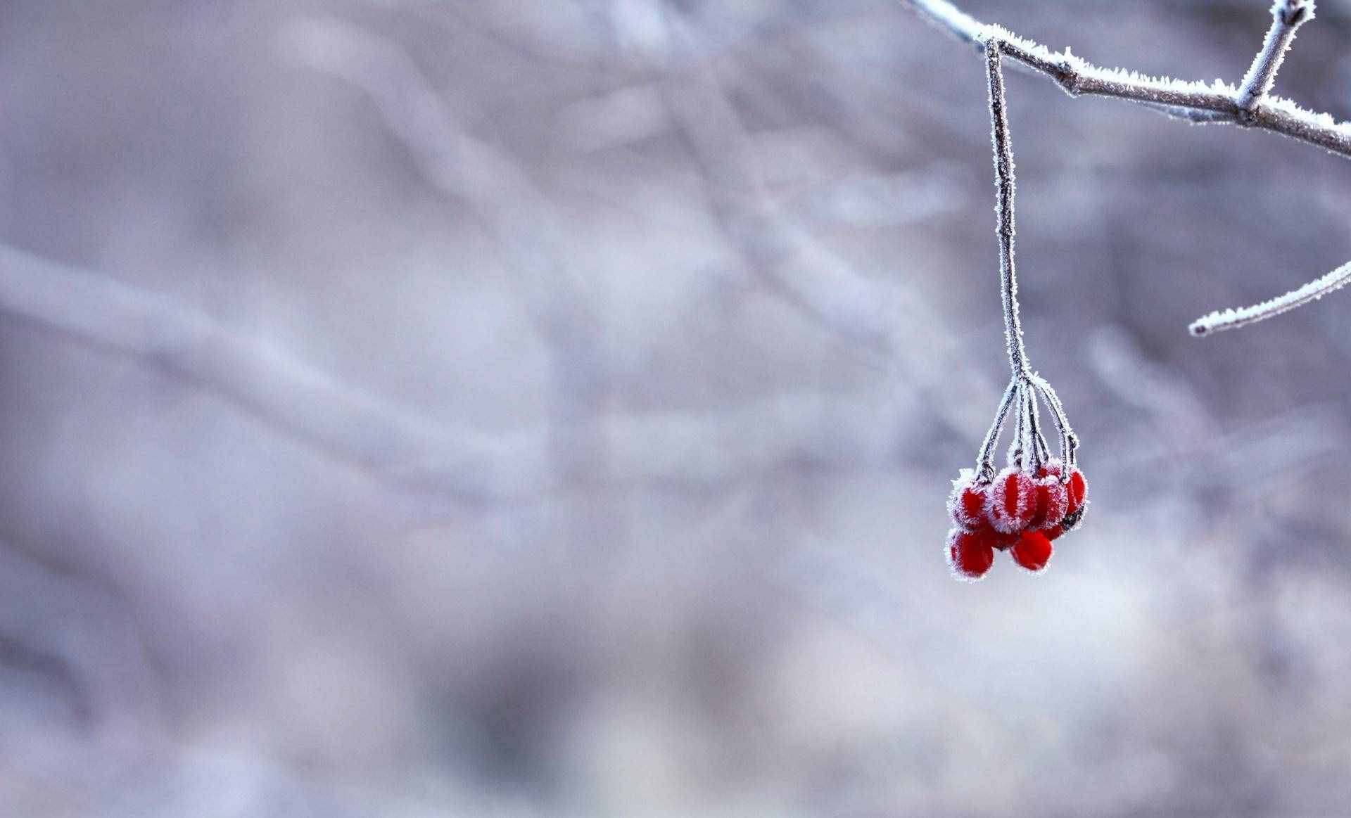 20首最經(jīng)典的冬天詩詞：踏著冬的腳步，品味古人筆下的冬天