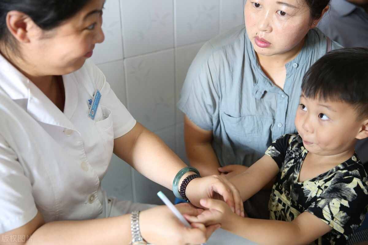 藥中四君子，很多健脾益氣方由此加減而來，主治氣虛、脾虛