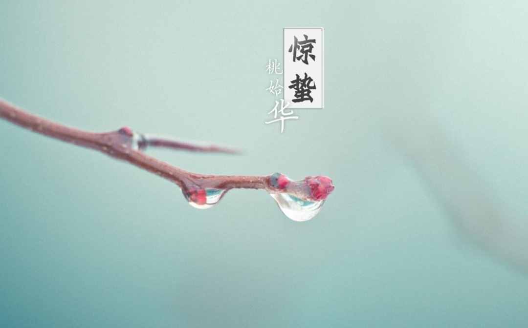 雨催驚蟄候 風(fēng)作勒花開，十二首驚蟄詩詞，叫醒酣睡的春天