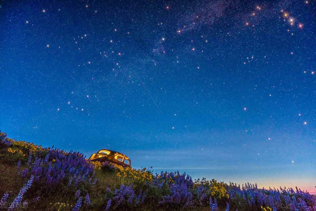 十二星座金星與南北交的相遇，只是一陣，卻容易用一輩子去記憶