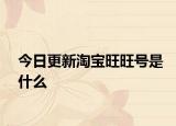 今日更新淘寶旺旺號是什么