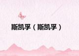 斯凱孚（斯凱孚）