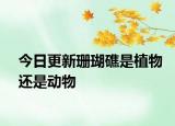 今日更新珊瑚礁是植物還是動物