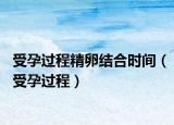 受孕過程精卵結(jié)合時(shí)間（受孕過程）