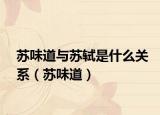 蘇味道與蘇軾是什么關系（蘇味道）