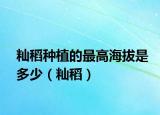 秈稻種植的最高海拔是多少（秈稻）