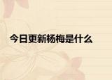 今日更新楊梅是什么
