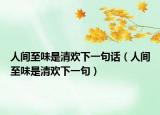人間至味是清歡下一句話（人間至味是清歡下一句）