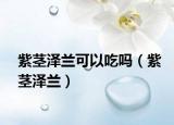 紫莖澤蘭可以吃嗎（紫莖澤蘭）