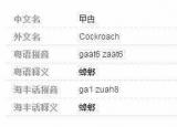 今日更新曱甴（曱甴怎么讀是什么意思 ）