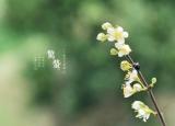 今日更新關(guān)于驚蟄的詩詞唯美（十二首驚蟄詩詞）