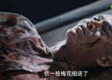 今日更新加官進(jìn)爵是什么刑法（凌云徹被海蘭賜加官進(jìn)爵）