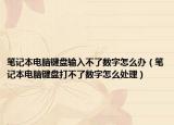 筆記本電腦鍵盤輸入不了數(shù)字怎么辦（筆記本電腦鍵盤打不了數(shù)字怎么處理）