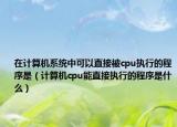 在計算機系統(tǒng)中可以直接被cpu執(zhí)行的程序是（計算機cpu能直接執(zhí)行的程序是什么）