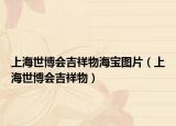 上海世博會(huì)吉祥物海寶圖片（上海世博會(huì)吉祥物）