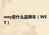 wey是什么品牌車(chē)（WEY）
