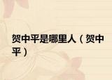 賀中平是哪里人（賀中平）