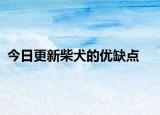 今日更新柴犬的優(yōu)缺點
