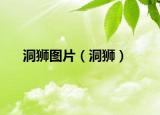 洞獅圖片（洞獅）