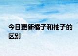 今日更新橘子和柚子的區(qū)別