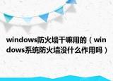 windows防火墻干嘛用的（windows系統(tǒng)防火墻沒什么作用嗎）