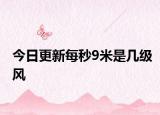 今日更新每秒9米是幾級風