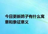 今日更新鴿子有什么寓意和象征意義