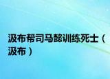 汲布幫司馬懿訓(xùn)練死士（汲布）
