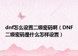 dnf怎么設(shè)置二級密碼?。―NF二級密碼是什么怎樣設(shè)置）