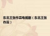 東北王張作霖電視?。|北王張作霖）
