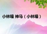 小林瞳 神馬（小林瞳）
