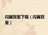 閃翼雙星下載（閃翼雙星）