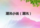 潮汛小說（潮汛）
