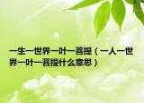 一生一世界一葉一菩提（一人一世界一葉一菩提什么意思）
