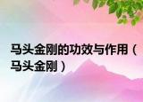 馬頭金剛的功效與作用（馬頭金剛）